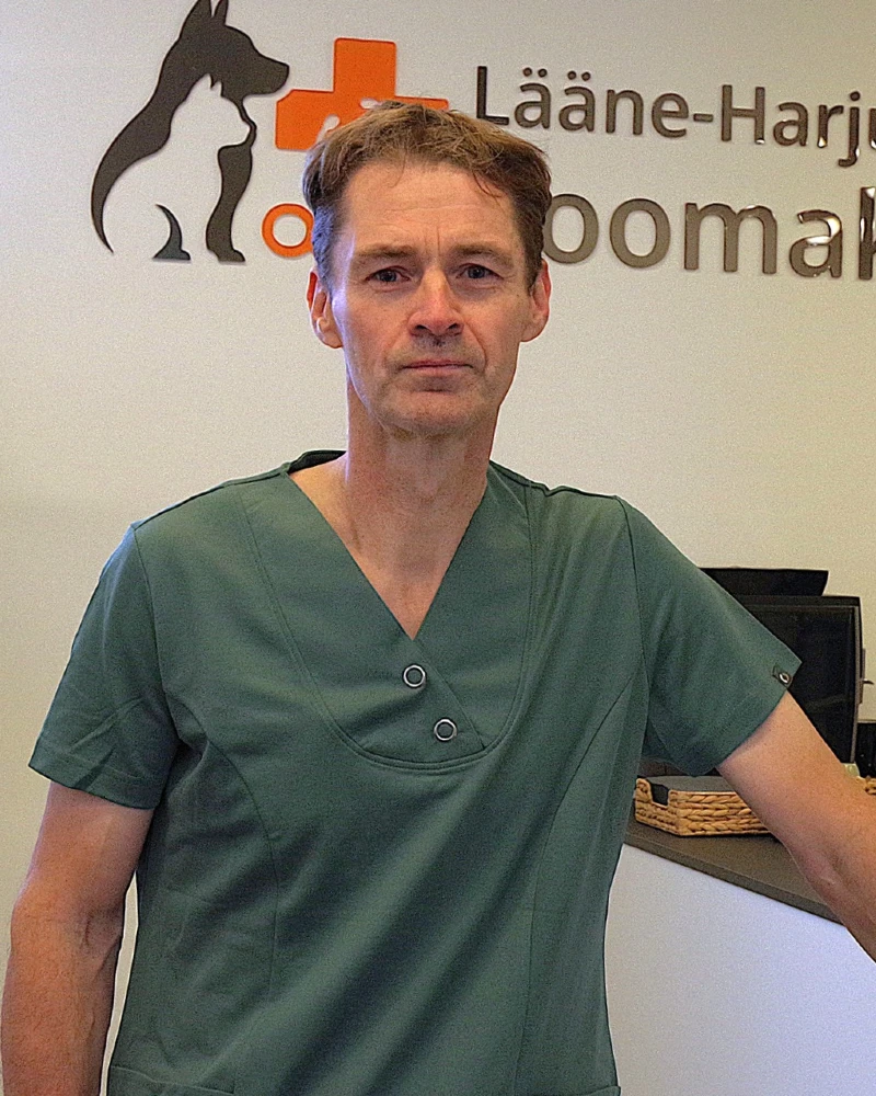 622790600 1476230874534088 2294480924907861374 n